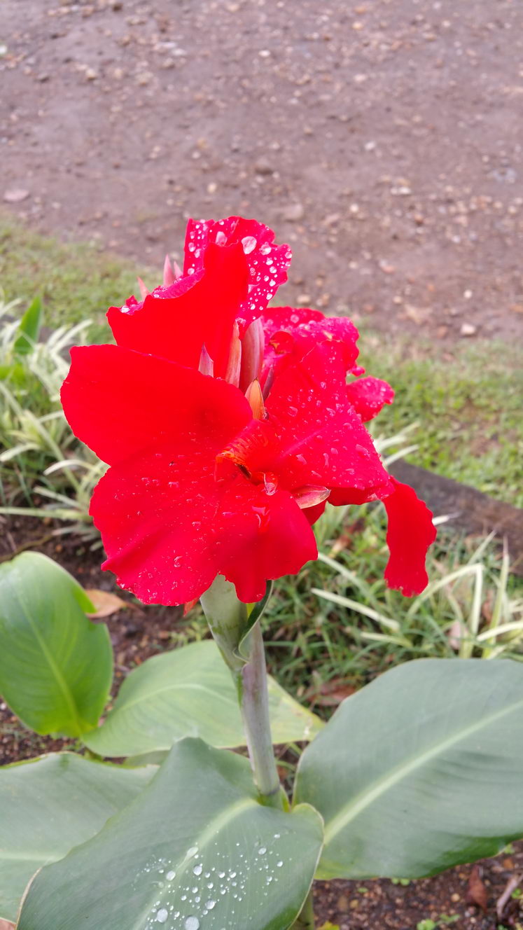 20160207 153328 (2016 04 27 14 48 53 UTC)